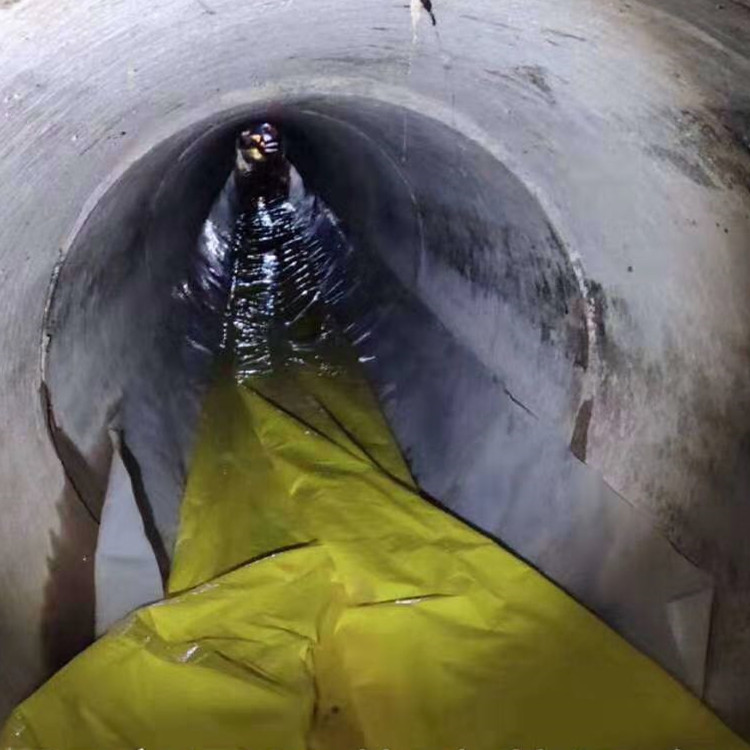 寻甸管道光固化修复